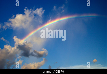 Regenbogen und Wolken in den Himmel über Bermuda, Caribbean. Stockfoto