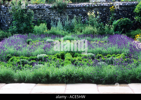 Knot Garten Lavendel Box Hecken Gärten Kräuter Hecke Kräutergärten Pflanzen Stockfoto