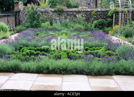 Kraut Knoten Garten Lavendel Frontbox Hecken ebnet Stockfoto