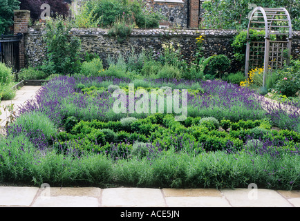 Kraut Knoten vorderen Garten Lavendel Buchsbaumhecken Stockfoto