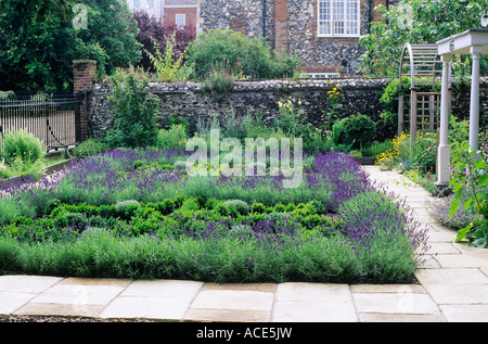 Kraut Knoten vorderen Garten Lavendel Buchsbaumhecken Stockfoto