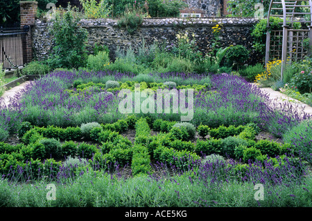 Kraut Knoten Garten Lavendel Frontbox Hecken ebnet Stockfoto