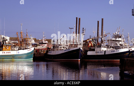 industriellen Fischkuttern Line-up in Fraserburgh Hafen, Aberdeenshire, Schottland 2. größte Fischereihafen Stockfoto