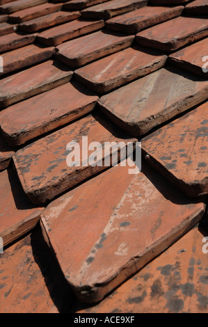 Dachziegel auf Schloss Bran, Rumänien Stockfoto