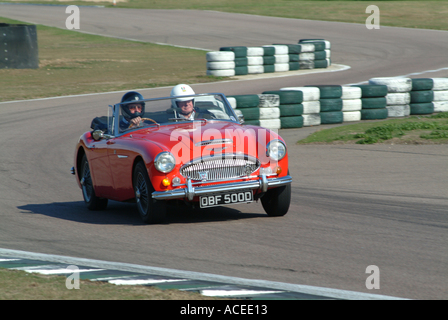 Austin Healey 3000 Sportwagen auf Track Day in Goodwood Rennstrecke West Sussex England Vereinigtes Königreich Großbritannien Stockfoto