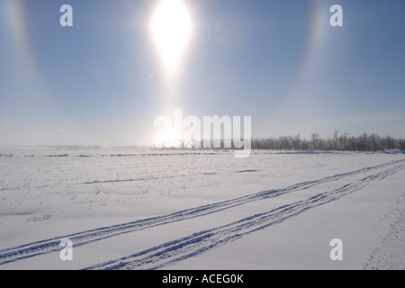 Sonne-Hunde Stockfoto