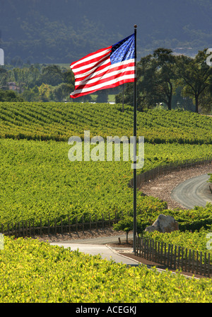 Napa County, US-Flagge in den Weinbergen des Napa Valley, Kalifornien CA USA Stockfoto