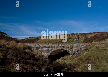 Junger Mann zu Fuß über ein Aquädukt Stockfoto