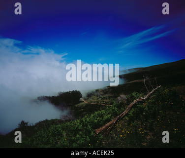 Nebel und Wolken Paul da Serra Madeira Portugal Europe.Photo von Willy Matheisl Stockfoto