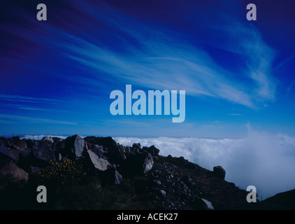 Nebel und Wolken Paul da Serra Madeira Portugal Europa. Foto: Willy Matheisl Stockfoto