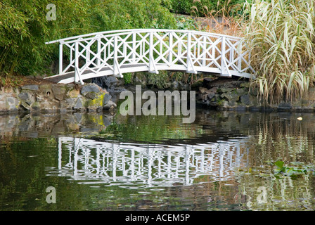 Eine hölzerne Bogenbrücke über ein Wasserspiel in den Tasmanian Botanical Gardens Stockfoto