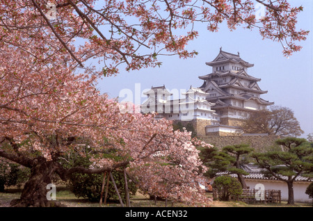 Frühlingskirschblüten umrahmen das historische Schloss des Weißen Reihers, auch bekannt als Himeji Castle im Zentrum von Honshu, Hyogo, Japan. Stockfoto