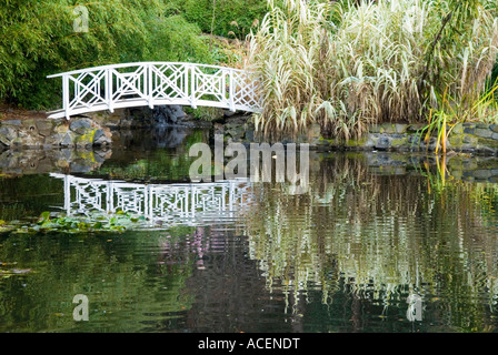 Eine hölzerne Bogenbrücke über ein Wasserspiel in den Tasmanian Botanical Gardens Stockfoto