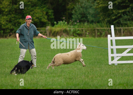 Wettbewerber in den Waliser Sheepdog Trials Glanusk Estate Crickhowell Powys Wales UK GB EU Stockfoto