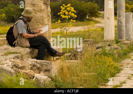 Touristischen lesen neben römischen Ruinen riesiger Fenchel (Ferula Communis) Blumen im Hintergrund, Salamis, Nordzypern, Frühling Stockfoto