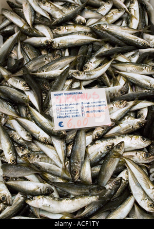 Fisch stall Alentejo Portugal Stockfoto