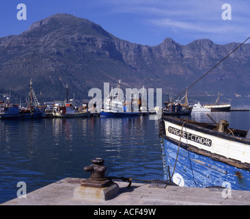 Angeln Fischkutter vertäut in Hout Bay Fischerei Hafen Kap-Halbinsel, Provinz Westkap; Südafrika Stockfoto