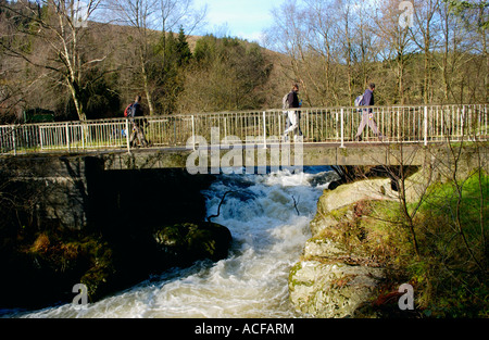 Wanderer-Brücke über den schnell fließenden Fluss Irfon in der Nähe von Llanwrtyd Wells Powys Wales UK Stockfoto