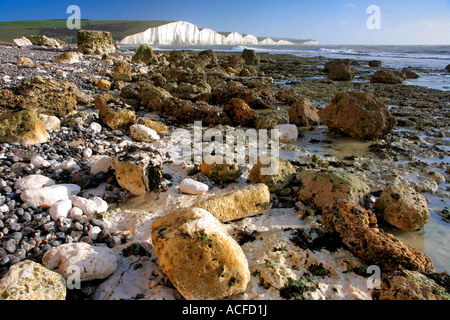 Die sieben Schwestern Kreidefelsen vom Strand in Seaford Kopf, South Downs Way, Sussex, England, Großbritannien, UK Stockfoto