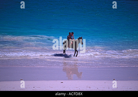 Reiter, rosa Sand, Strand Hafen Insel Bahamas-Inseln Stockfoto