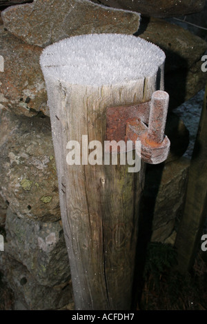 Frost bedeckt Gatepost und Scharnier Stockfoto