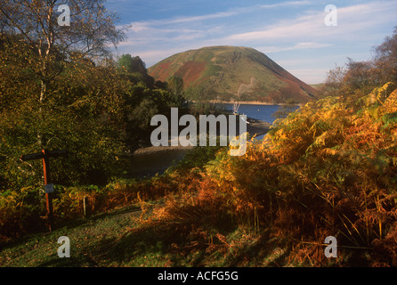 Powys Tal Glyndwr Weg in der Nähe von Llyn Clywedog Pfad Glyndwr, See Vrynwy Stockfoto