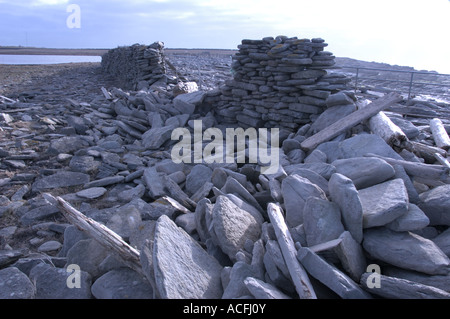 Der Bund oder an der Wand, die das North Ronaldsay Schaf hält ausgeschlossen und brach nach einem Sturm am Strand Stockfoto