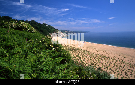 Nordende des Slapton Sands South Devon Stockfoto