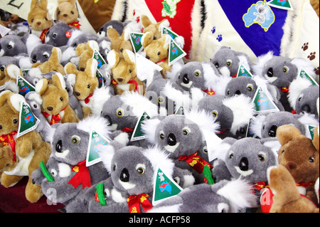 Flauschigen Koalas und Kängurus Queen Victoria Markt Melbourne Victoria Australien Stockfoto