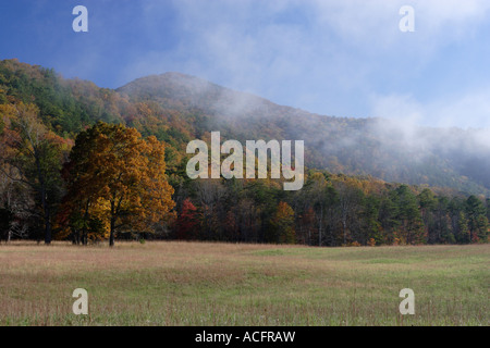 Nebel über Cades Cove, Great Smoky Mountains National Park, Tennessee, USA Stockfoto