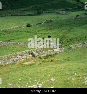 Trockene Stein Wände in einem Hügel Weide bilden Gehäuse und Stifte in Snowdonia Wales Stockfoto