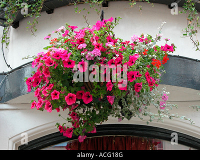 bunte Blüten in hängenden Korb außerhalb eines Altbaus Stockfoto