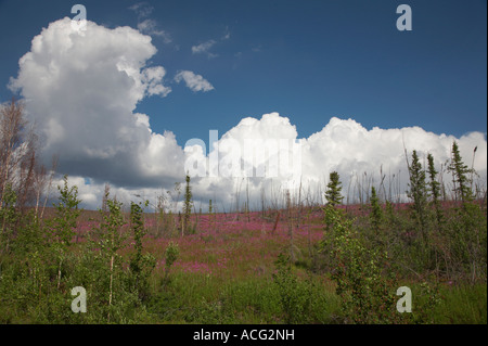 Wolken über den Bergen über den Taylor Highway in Alaska Stockfoto