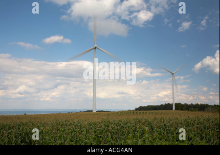 Wind-Mühlen oder Windkraftanlagen in Maisfeldern in Maple Ridge Windpark in Lewis County außerhalb Lowville New York neue Stockfoto