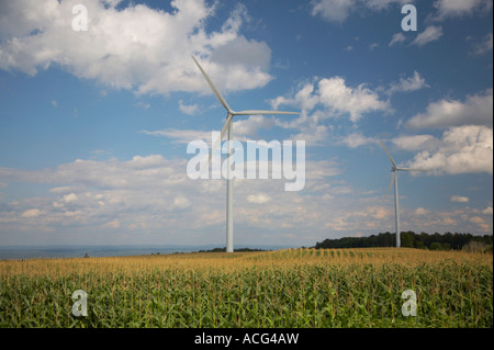 Wind-Mühlen oder Windkraftanlagen in Maisfeldern in Maple Ridge Windpark in Lewis County außerhalb Lowville New York neue Stockfoto