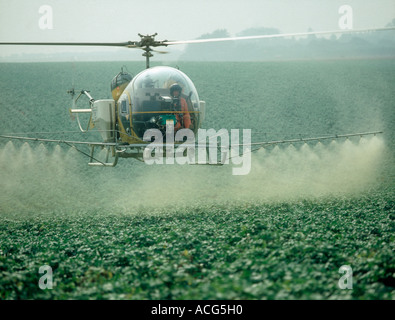 Helikopter-Spritzen fällig werdenden Kartoffelernte mit Spurenelementen und ein Fungizid Stockfoto