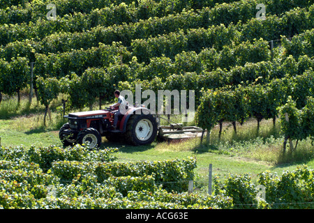 Traktor im Weinberg am Pamport in der Nähe von Bergerac in der Region Dordogne-Frankreich Stockfoto