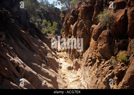 Heiligen Canyon Flinders Ranges South Australia Australien Stockfoto