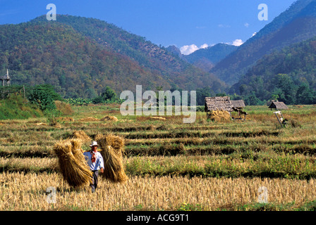 Ein Mann in der Nähe der Stadt Pai in Nordthailand Stockfoto
