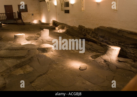 Versteinerte Bäume im Fossil Grove, Victoria Park Glasgow, Schottland GB UK Stockfoto