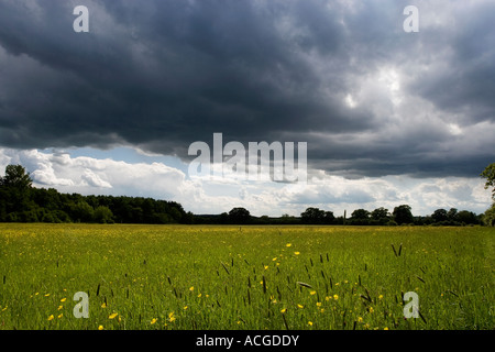 Alte englische Heu Wiese an einem stürmischen Sommertag. Oxfordshire, England Stockfoto