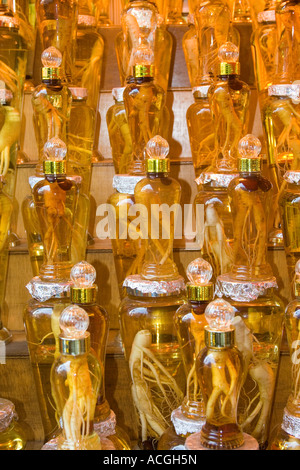 Großen Ginseng Wurzeln in Gläsern an Namdaemun-Markt Seoul Südkorea Stockfoto