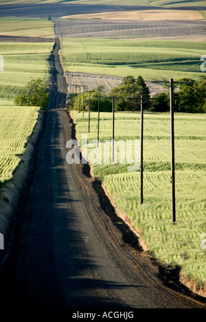 Landstraße laden Abfahrt, Strommasten, unreifen Weizenfelder. Stockfoto