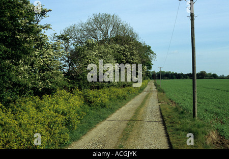 Blick nach unten Fahrt vom Hüter-Hütte am Benacre Estate in Suffolk Uk Stockfoto