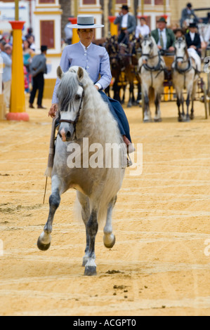 Tadellos gekleidet Reiterin auf spanischen reinrassigen andalusischen Throroughbred Pferd. Stockfoto