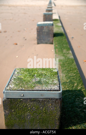 ein Meer Wasser Pause Verteidigungssystem an einem schönen Sandstrand Stockfoto