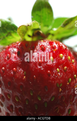Close up of a strawberry on a white background Stockfoto