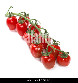 frische reife saftige rote Kirschtomaten auf der Rebe auf einem weißen Hintergrund Stockfoto