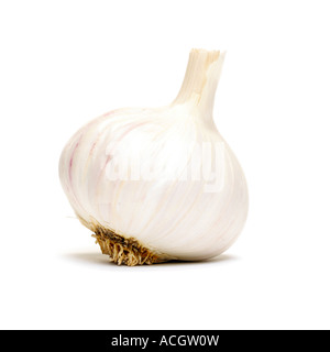 Eine Glühbirne von frischem Knoblauch gebrochen offen zeigen Nelken auf weißem Hintergrund Stockfoto