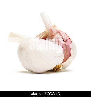 Eine Glühbirne von frischem Knoblauch gebrochen offen zeigen Nelken auf weißem Hintergrund Stockfoto